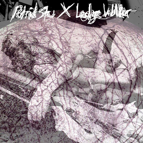 Putrid Stu (goregrind/slam band)