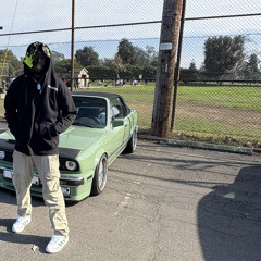 Freddy Solitary - Purple Hazel