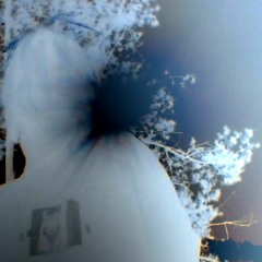 nosgov - stay bleeding!