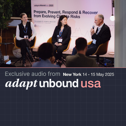 Bridging The Investment Gap: How Different Investment Forms are the Key to the Future of Adaptation