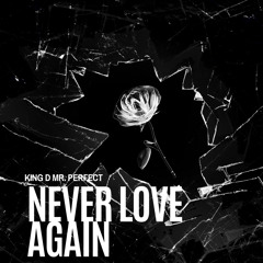 Never Love Again (Produced by King D Mr. Perfect)