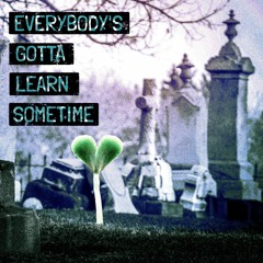 Everybody's Gotta Learn Sometime