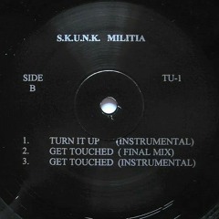 S.K.U.N.K. Militia - Get Touched