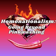 Homonationalism: Going Beyond Pinkwashing