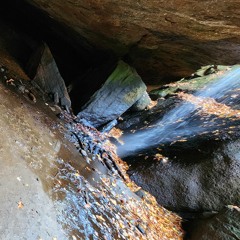 Nelsons Ledges Clarinet Collage