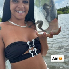 ⁺‧₊˚ ཐི⋆♱ 24min de perturbação acelerada pra vc começar bem o seu dia ♱⋆ཋྀ ˚₊‧⁺