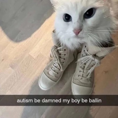 autism be damned my boy be ballin
