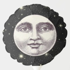 MR. MOONY