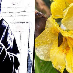 imbrandnew prod kurane