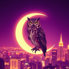 Seven Hours on a Red Eye 👁️