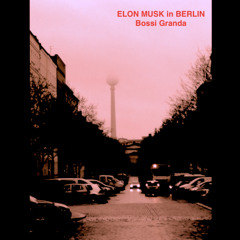 Elon Musk 2025 Mix