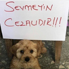 Rüyamda Buluttum - Can Bonomo (25.3.2021 insta live)