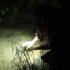 SWORDS [sunside] (prod. yunme) [MUSIC VIDEO IN DESC.]