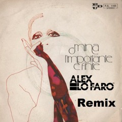 Mina L'importante E' Finire (Alex Lo Faro Remix )