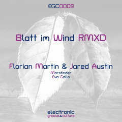 Blatt im Wind (Eva Gallo Remix)