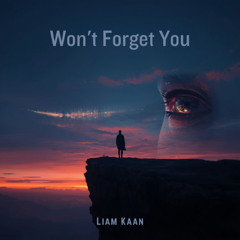 Won't Forget You