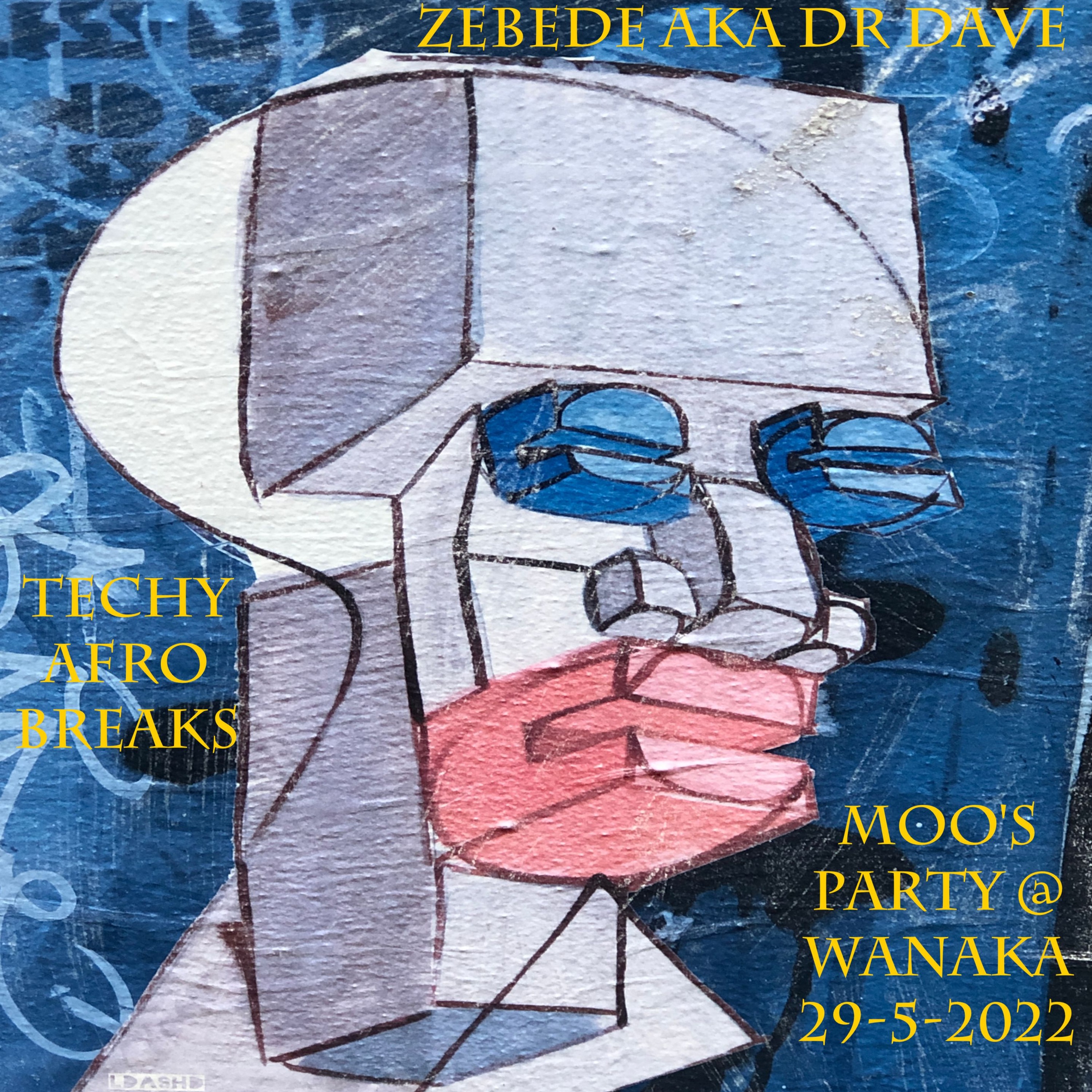 Zebede aka Dr Dave  spins Techy Afro Breaks @ Moo's Party @ Wanaka 29 - 5-2022  Wanaka episode artwork