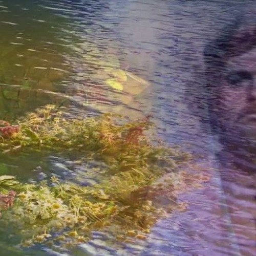 Narcissi - Вьюн На Воде (Live At Fields Festival, Mutabor)