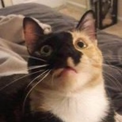 This Song Will Make You Feel Good