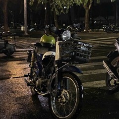 Bông Hoa Nở Muộn
