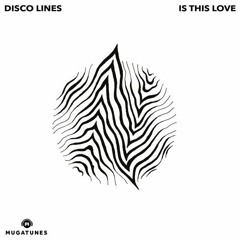 Disco Lines - Is This Love