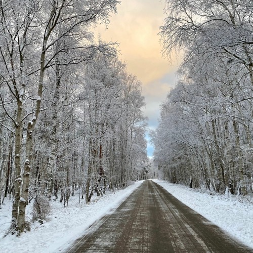 Deep & Progressive House - a selection of my favorites Tracks - Winter Trilogy Part 1 by Bitter