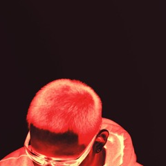 pahna (arvlle cover)