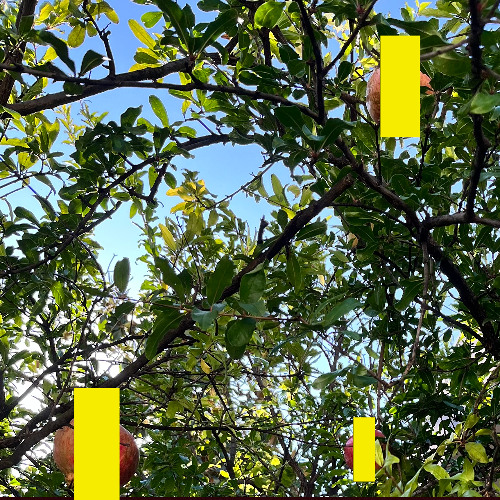 Going in Different Directions