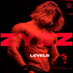 Levels Zyzz