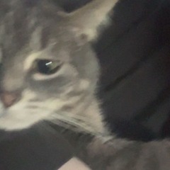 want me dead 死(@fu5shi x jonasm)