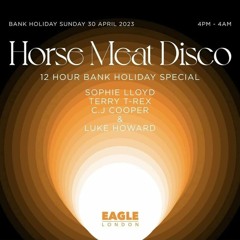 Cjcooper live at Horse meat disco 30.04 part 2