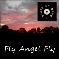 Fly Angel Fly