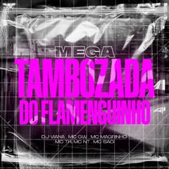 MEGA TAMBOZADA DO FLAMENGUINHO (DJ VIANA - MC MAGRINHO - MC GW - MC TH - MC NT - MC SACI)