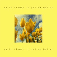 Q-Bale - tulip flower in yellow ballad