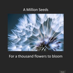 A Million Seeds