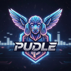Pudle Tech House Mix