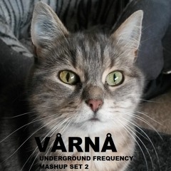 VÅRNÅ - Bass Impact Radio Show Mashup Set 2 - 10.08.2018