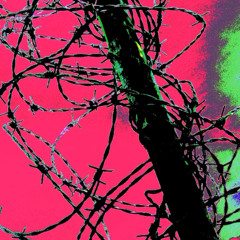 threw out the love of my dreams