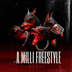 A Milli Freestyle