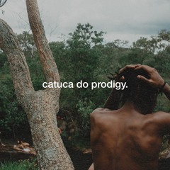 Catuca do Prodigy w/ Novin Yarp