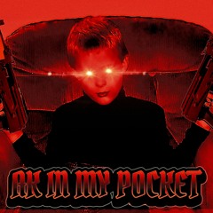AK IN MY POCKET