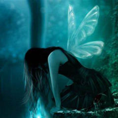 Fairy Echoes