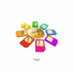 BITCOIN BANDIT - SIM SWAP