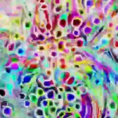 FUNGUSPLOT