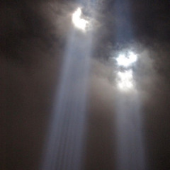 Wicked City [prod. Clvr]