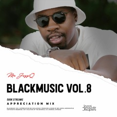BlackMusic Vol.8 mixed by Mr. JazziQ