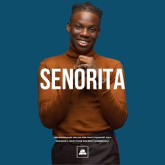 Rema x Burna Boy x Wizkid Type beat - Senorita | afrobeat Instrumenatal 2020