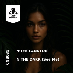 Peter Lankton - In The Dark (See Me)