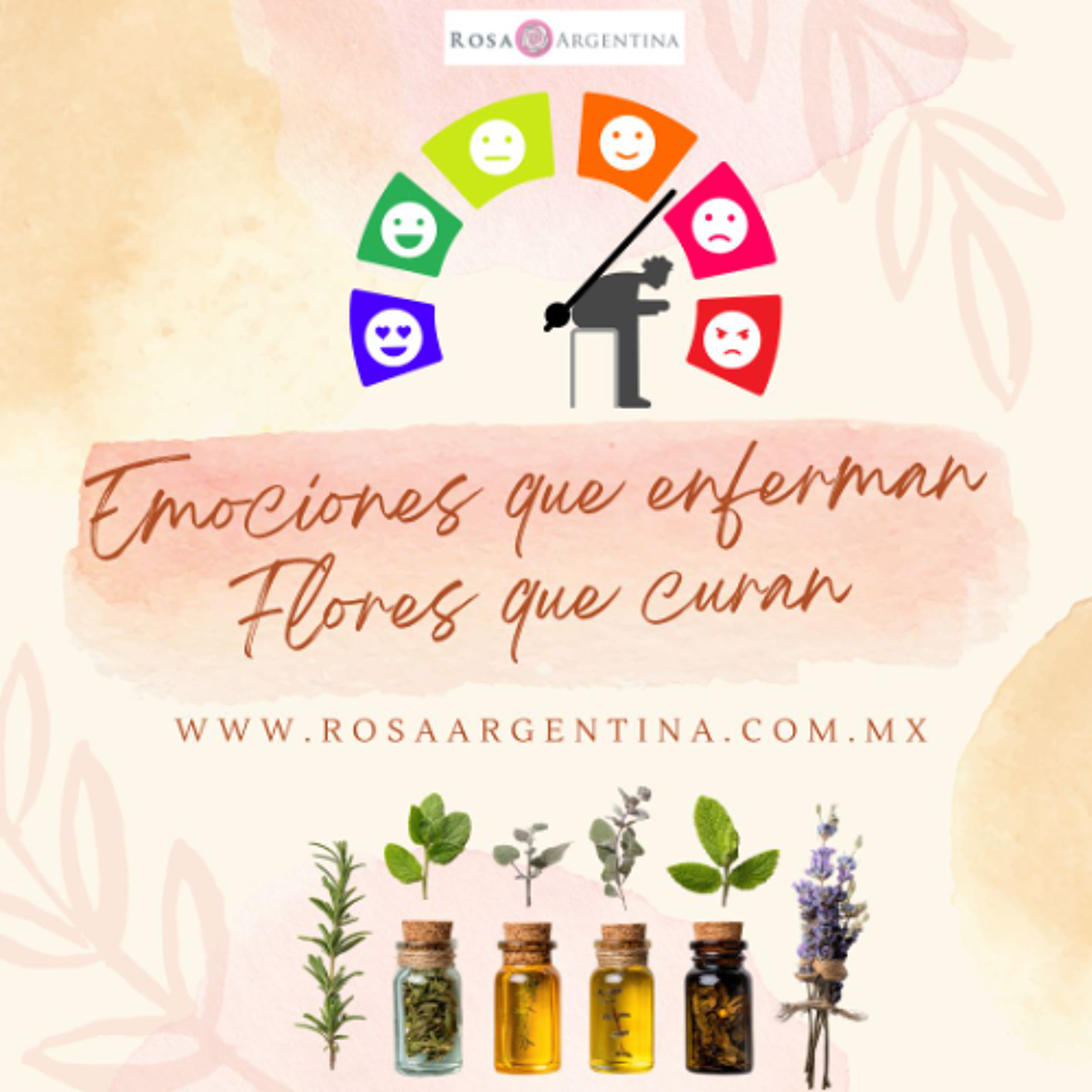EMOCIONES QUE ENFERMAN, FLORES QUE CURAN