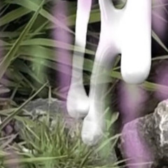 Mudslides (Buschoji remix)